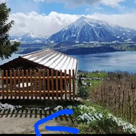With Panoramic Views Of The Mountains Of The Oberland And Thun شاليه سيغريسويل