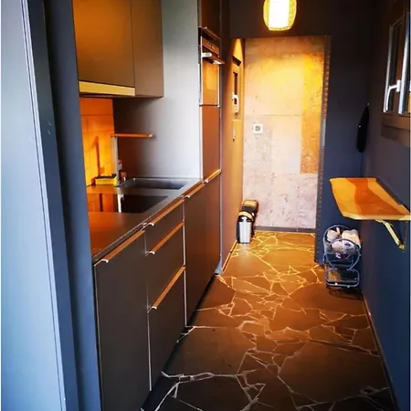 With Panoramic Views Of The Mountains Of The Oberland And Thun 木屋